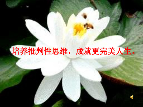 批判性思维(13第九讲信息)