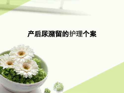 产后尿潴留的护理个案
