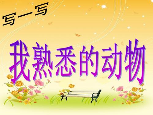 写作教学之喜欢的小动物 3