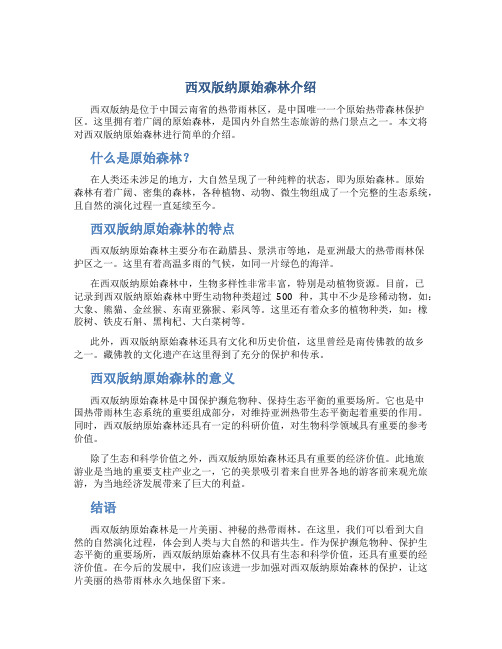 西双版纳原始森林介绍