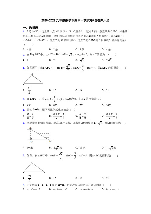 2020-2021九年级数学下期中一模试卷(含答案)(1)