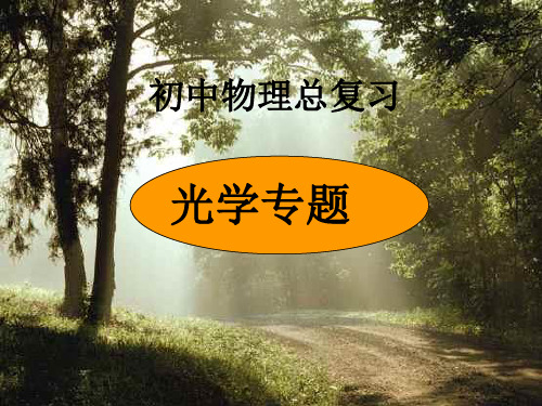 中考总复习光学专题(ppt课件)