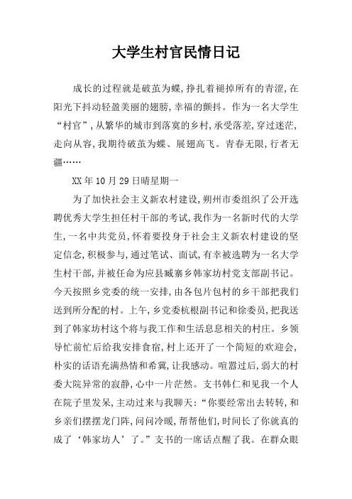 大学生村官民情日记