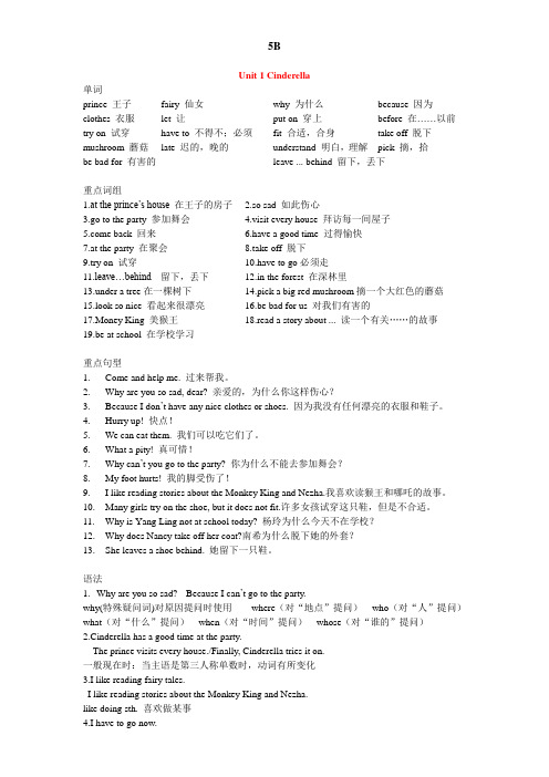 牛津译林版英语5B五年级下学期全册复习资料