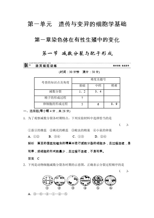 中图版 必修二 减数分裂与配子形 作业