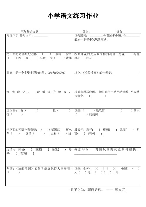 小学五年级语文期末冲刺训练 (40)