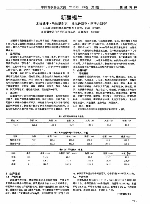 新疆褐牛
