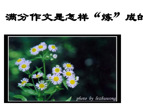 满分作文是怎样练出来的-(新编201912)