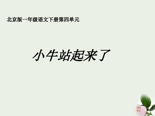 一年级语文下册 小牛站起来了课件 北京版