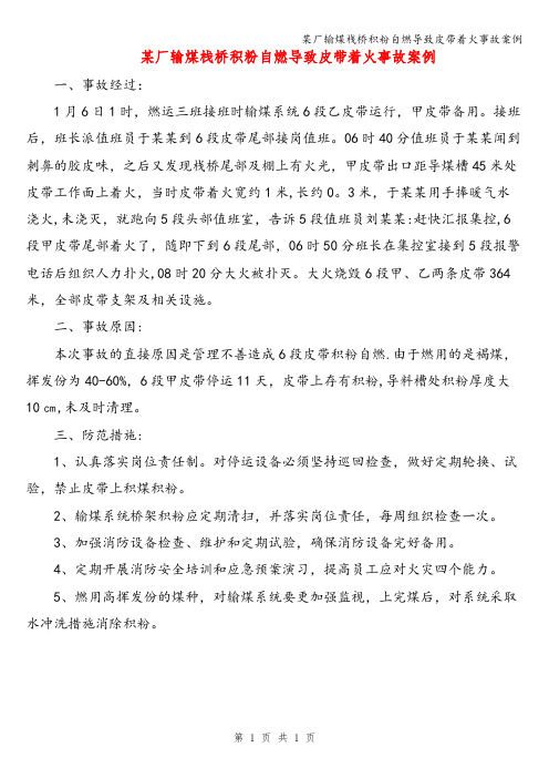 某厂输煤栈桥积粉自燃导致皮带着火事故案例