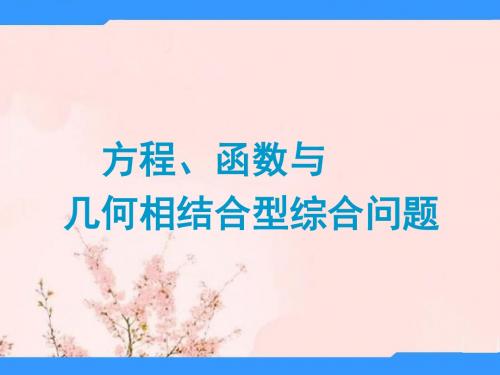 中考数学 专题 方程、函数与几何相结合型综合问题题型专讲专练课件(12、13真题为例)