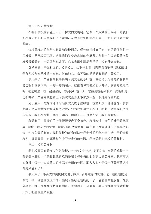 最新校园黄桷树作文5篇