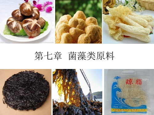 烹饪原料知识课件第七章 菌藻类原料