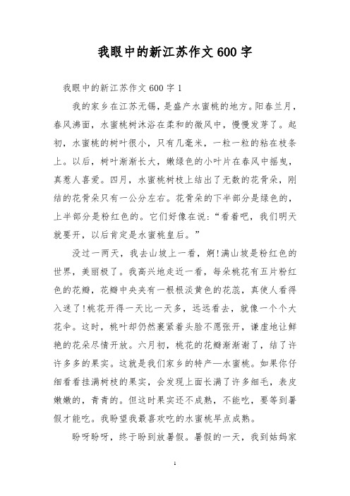 优秀作文：我眼中的新江苏作文600字