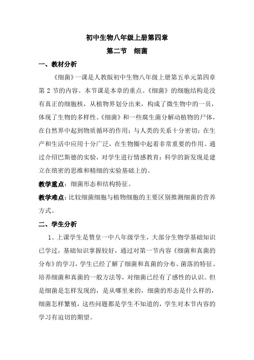 细菌教学设计