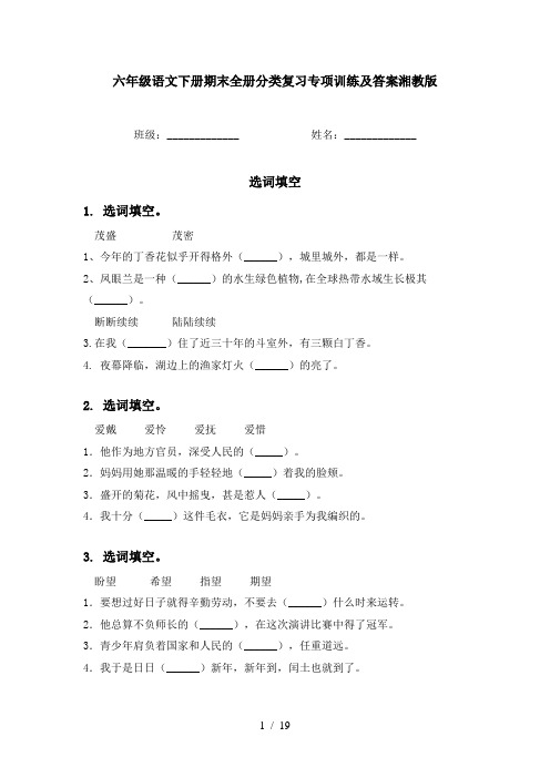 六年级语文下册期末全册分类复习专项训练及答案湘教版