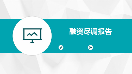 融资尽调报告