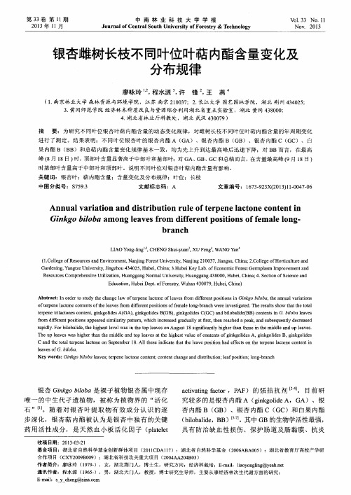 银杏雌树长枝不同叶位叶萜内酯含量变化及分布规律