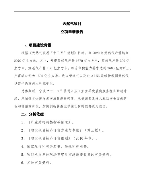 天然气项目立项申请报告 (2)