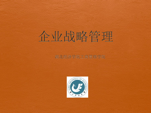 企业战略管理第三章_2