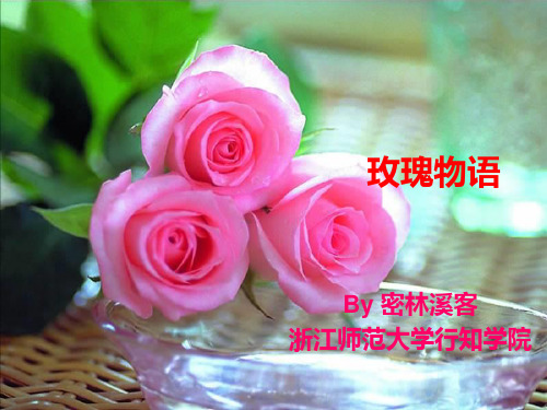 玫瑰物语PPT