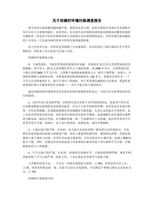 关于西湖村环境污染调查报告