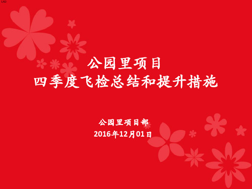 四季度飞检总结和提升措施