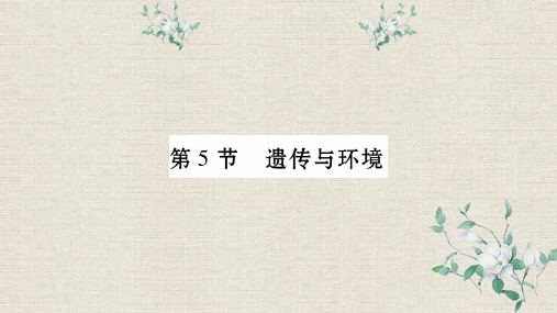 上思县四中省八年级生物上册第6单元第20章第5节遗传与环境课件新版北师大版1