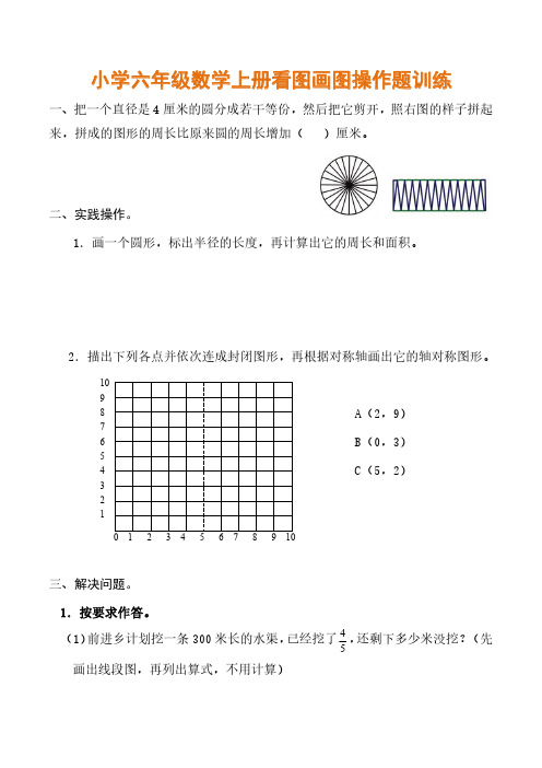 小学六年级数学上册看图画图操作题训练