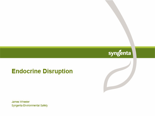 EndocrineDisruption