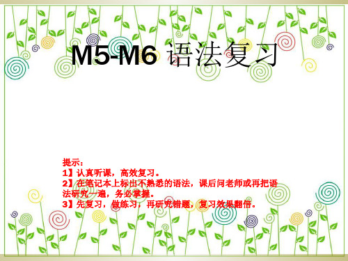 外研版英语七年级上册M5-M6语法复习PPT课件