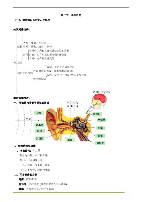 七下科学1.3 耳和听觉  教师版