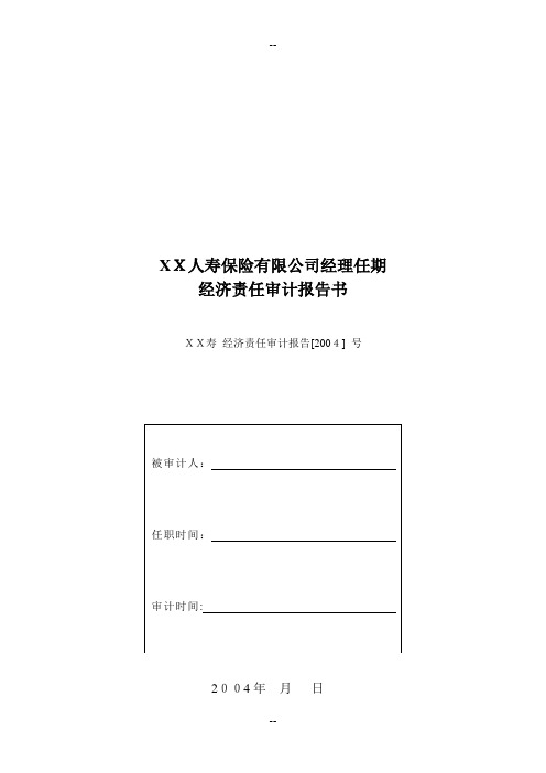 离任审计报告——分公司负责人
