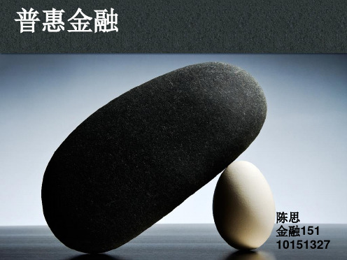 金融法学习课件普惠金融---金融法---陈思