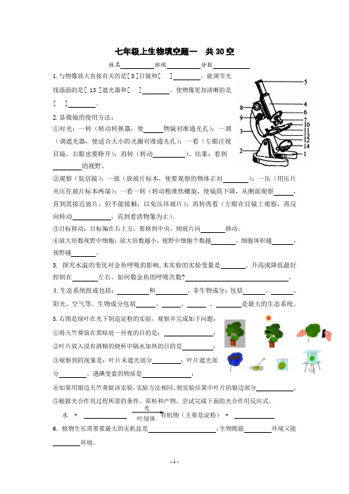 七年级上生物填空题一 附答案