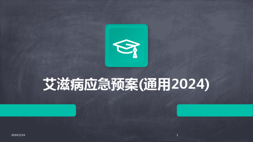2024年度艾滋病应急预案(通用2024)