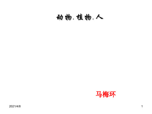 小学科学动植物和人PPT课件