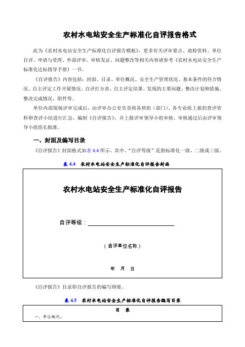 农村水电站安全生产标准化-水利安全生产标准化管理网
