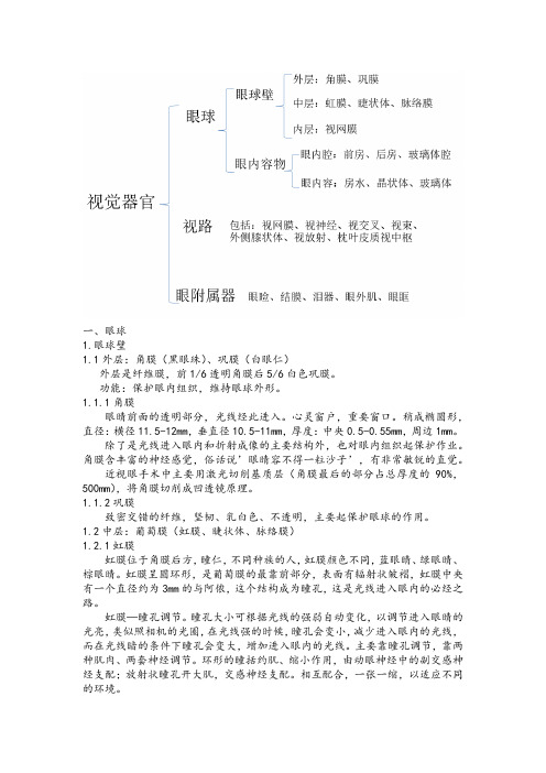 眼睛结构组成-完整版