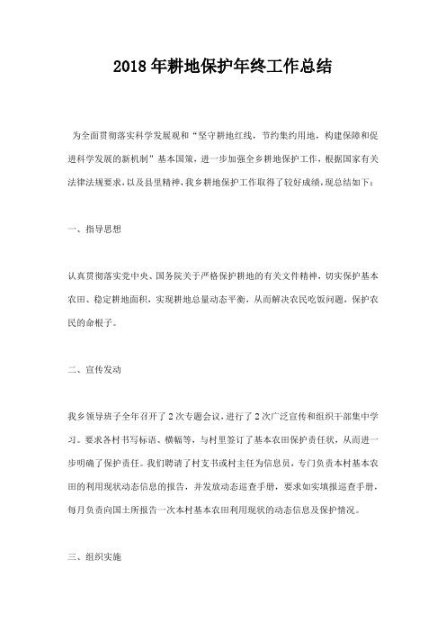 2018年耕地保护年终工作总结