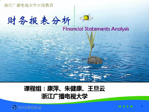 财务报表分析概述(ppt 94页)