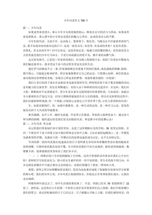 少年风采作文700字优秀作文