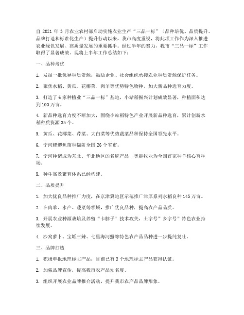 三品一标半年工作总结