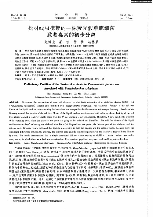松材线虫携带的一株荧光假单胞细菌致萎毒素的初步分离