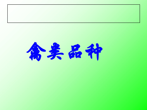 禽类鸡鸭鹅-文档资料71页