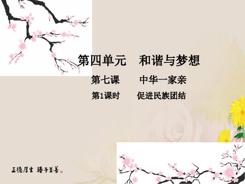 人教部编版九年级上册道德与法治课件：第七课 第1课时 促进民族团结(共10张PPT)
