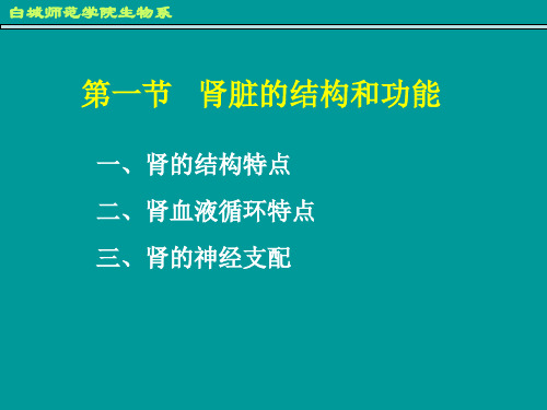 肾小管与集合管的重吸收