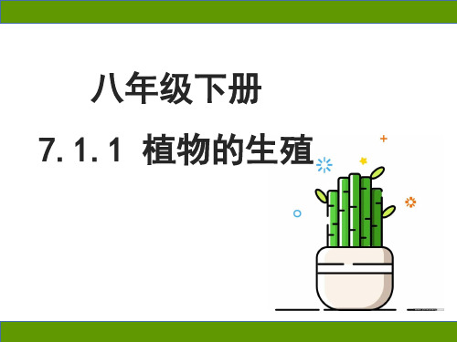 人教版初中生物八年级下册7.1.1《植物的生殖》(课件)