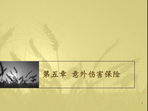 【精品】意外伤害保险-课件