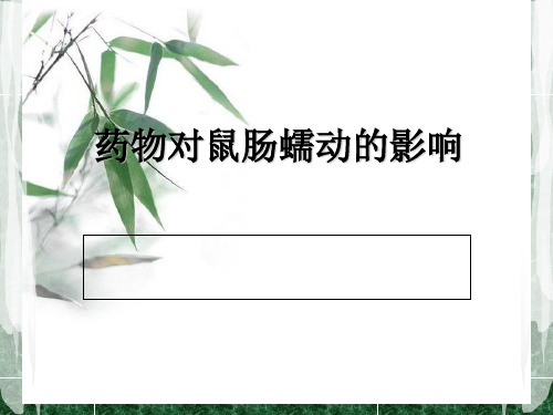 药物对鼠肠蠕动的影响[优质ppt]